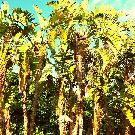 Paola Holiday home *